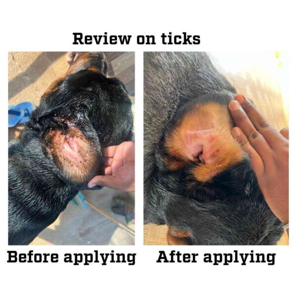 Ticks & fleas