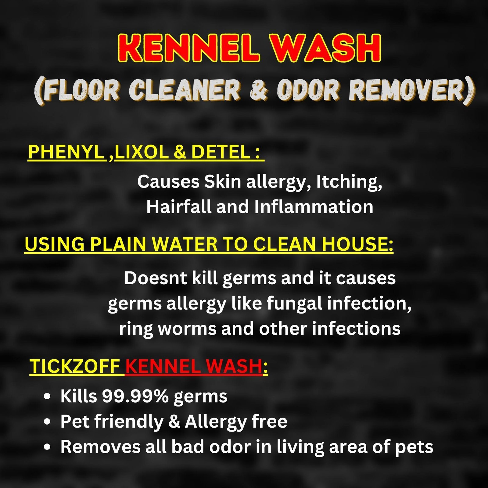 Free Shampoo with 3 Pet Oil + 1ltr Wash - Image 18